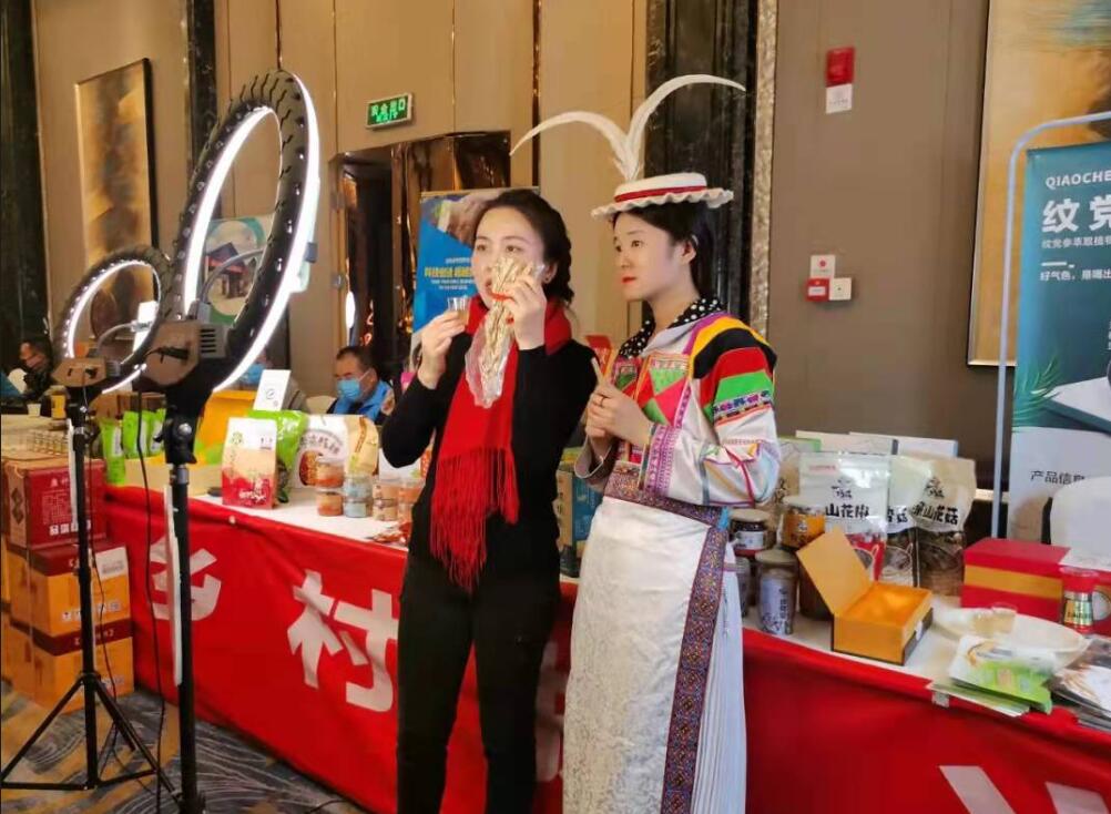 “民企陇南行·首场推介会”——甘肃省投资商会2021年会在兰州隆